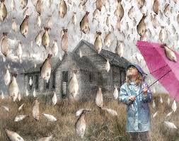 pluie de poissons, phénomène