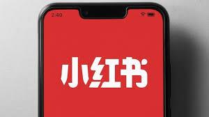 rednote, tiktok , bloqueio