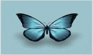 animais, teste, universo