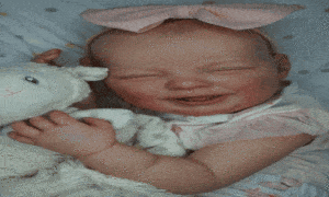bebê reborn, virtual, online