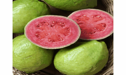 frutas,nocivas,perigosas