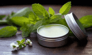 plástica,natural,plantas