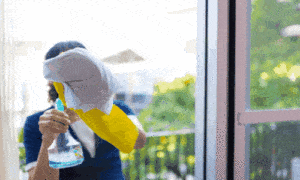 receitas,caseiras,limpeza,vidro