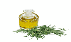 alecrim,óleo,capilar