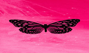 papel de parede,baixar,grátis